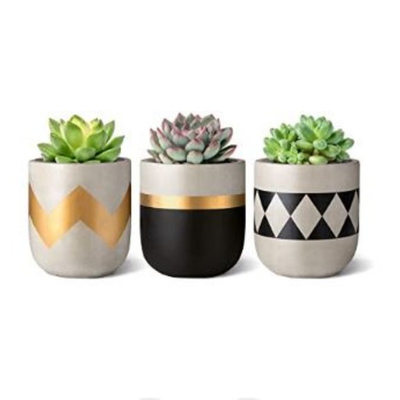 Other - 🌻NEW🌻 Modern Farmhouse Succulent Plant Pots